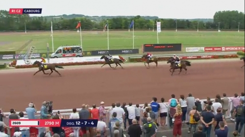 DAIDA DE VANDEL (Real de Lou-Gallia de Vandel)