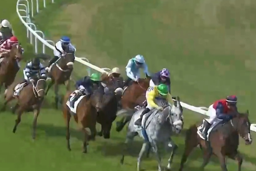 LOU MARINA (Kapgarde-Lou Emerald)