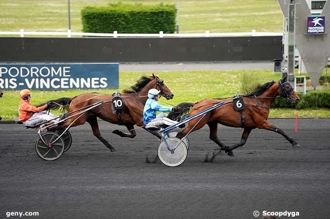 REAL DE LOU (Jag de Bellouet-Kooka de Lou par Coktail jet)