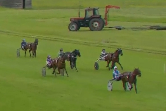 KARIOLA DE LOU ( Sam bourbon-Vikivera de Lou)...