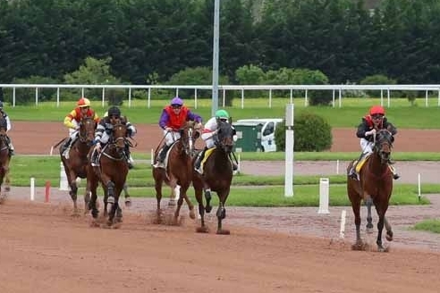 JUNON DE LOU ( Real de lou- Saba du vivier)