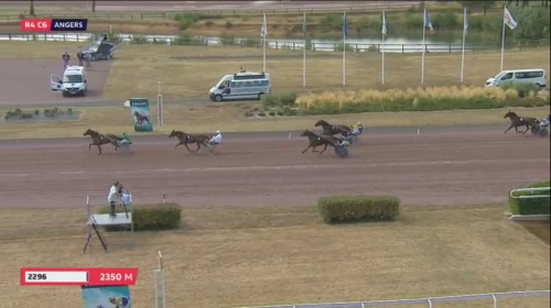 ERMINE DU LUDE (Real de Lou-Reine des sables)