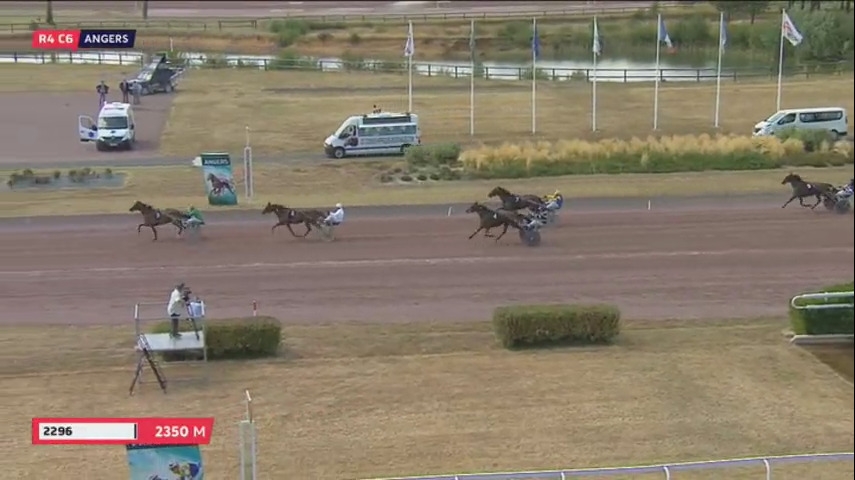 ERMINE DU LUDE (Real de Lou-Reine des sables)