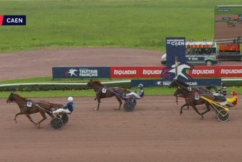 KERU DE LOU (Real de Lou-Bellissima de Lou par Saxo de...