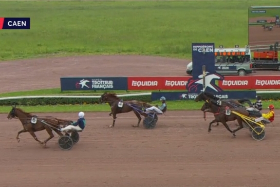 KERU DE LOU (Real de Lou-Bellissima de Lou par Saxo de vandel)..