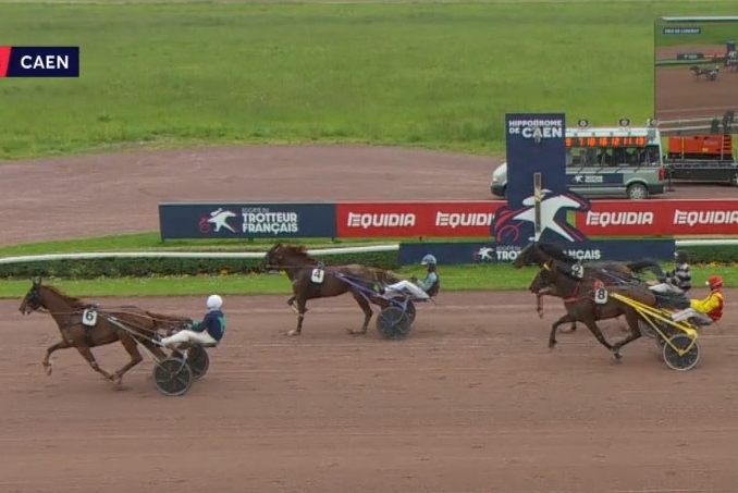 KERU DE LOU (Real de Lou-Bellissima de Lou par Saxo de vandel)..