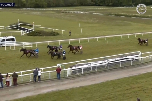 JUST GIGOLO DE LOU (Un amour d'haufor-Sierra de Lou)...