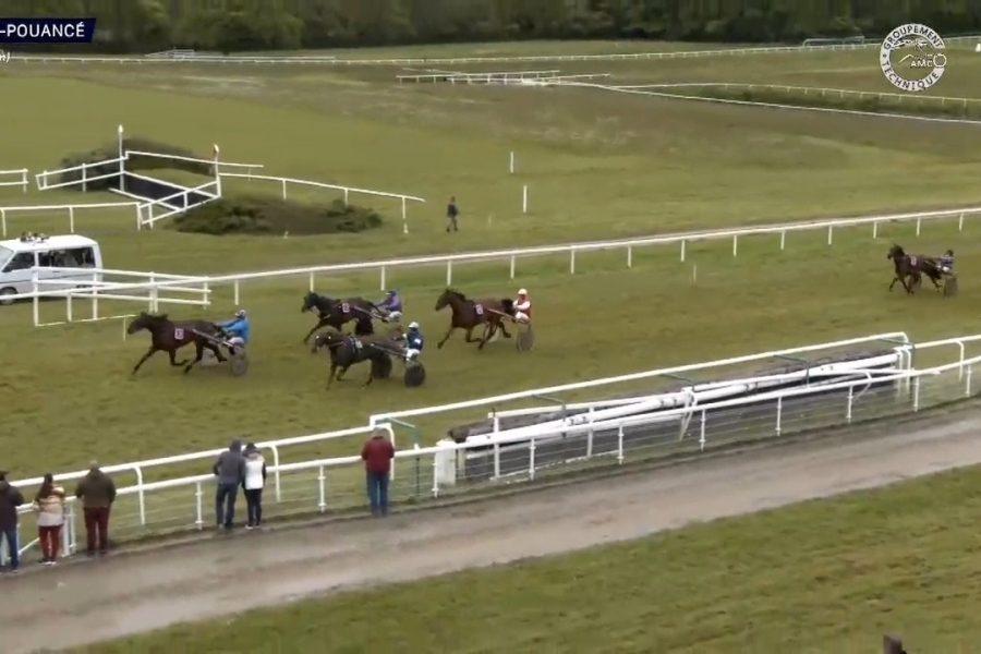 JUST GIGOLO DE LOU (Un amour d'haufor-Sierra de Lou)...