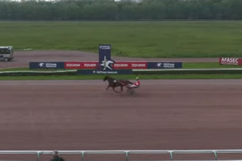 MAXIMILIANO DE LOU (Ecu pierji-Daytona Sacha par Real de Lou))