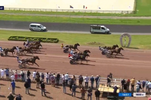 HIGUAIN DE LOU (Love you-Saba du vivier)...