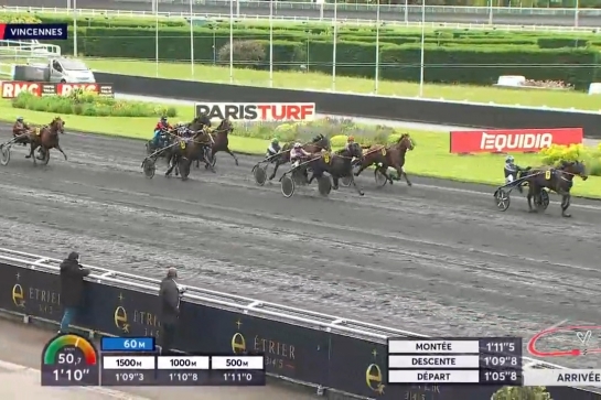 KOZIELLO DE LOU (Real de Lou- Delmonica de Lou)...