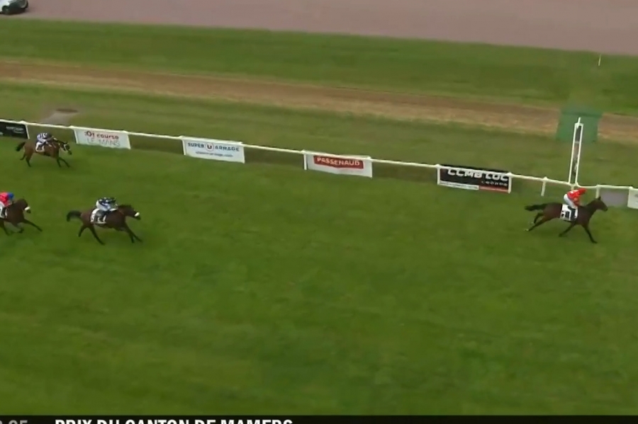 LOU MARINA (Kapgarde-Lou emerald)...