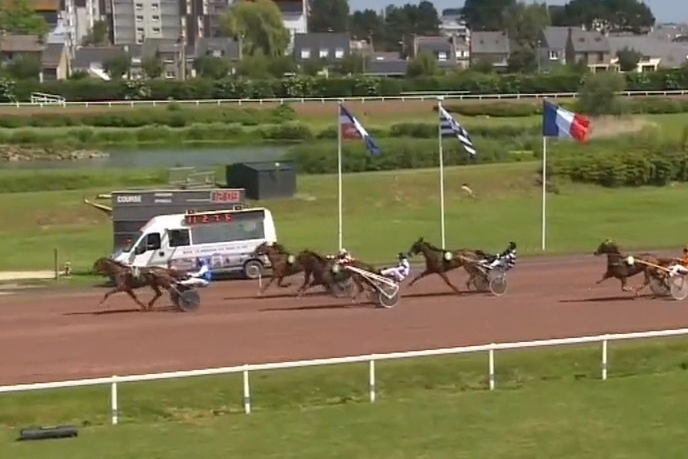 KARIOLA DE LOU ( Sam bourbon-Vikivera de Lou)...