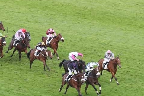 LOU FAST ( Rajsaman-Lou wonderful)...