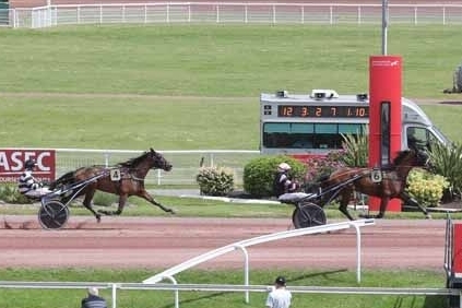 LA VIVA DE LOU ( Bold eagle- Dorada de Lou)...