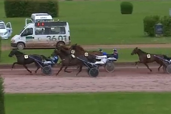 IBRA DE LOU (Un amour d'haufor-Venezia de Lou)