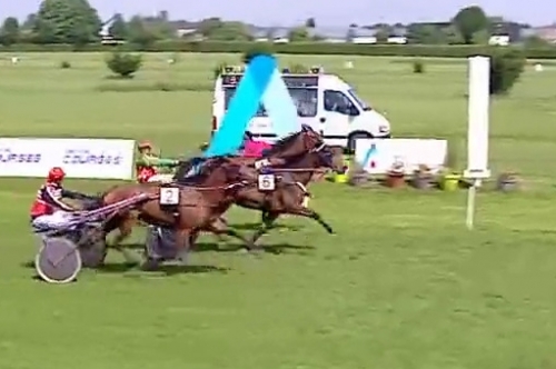 L'AS DE SMARVES (Excellent-Fiorentina de Lou)..