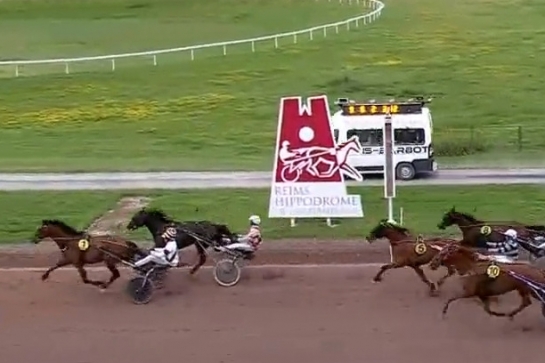 LARABELLO DE LOU (Real de Lou-Arabella de Lou)