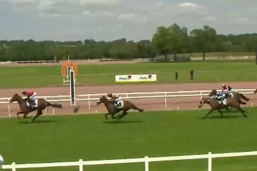 LOU MARINA (Kapgarde- Lou Emerald par Turgeon) ...