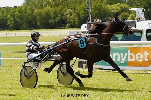 LAUREATE DRY ( Real de Lou-Akita Dry)...