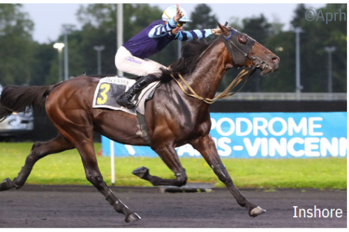 INSHORE ( Real de Lou- Beauté winner)...