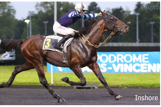 INSHORE ( Real de Lou- Beauté winner)...