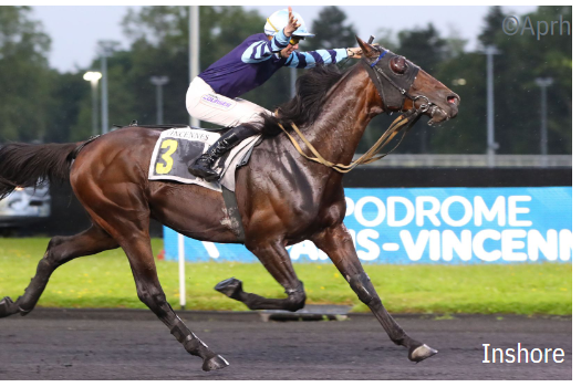 REAL DE LOU (Jag de Bellouet-Kooka de Lou par Coktail jet)