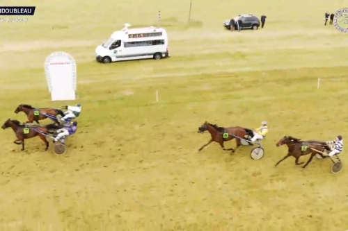 KYRIA DE LOU ( Real de Lou-Saba du Vivier)..