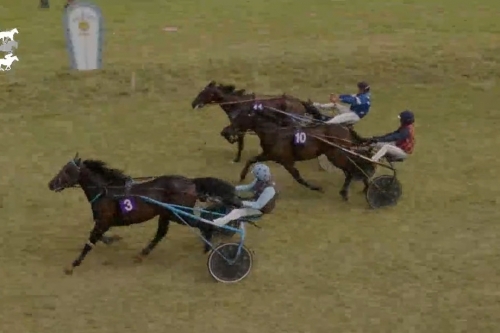 LAMBADA DE LOU ( Brillantissime-Selecao de Lou)