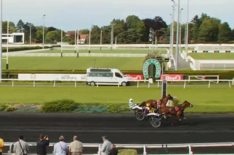 LUCKY DE LOU (Espoir Prestance-Delmonica de Lou...