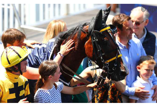 REAL DE LOU (Jag de Bellouet-Kooka de Lou par Coktail jet)...