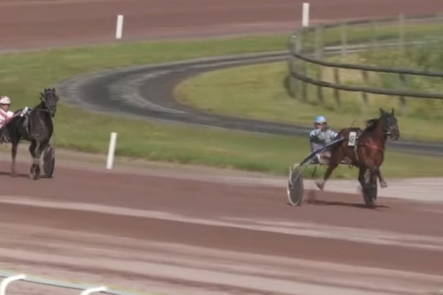 .MELOMANE DE LOU ( Fabulous wood-Diva de Lou)..