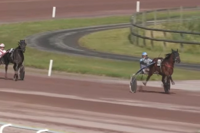 .MELOMANE DE LOU ( Fabulous wood-Diva de Lou)..