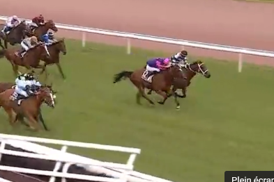 LOU MARINA ( Kapgarde-Lou Emerald)..