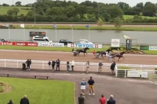 LEONARDO DE LOU (Express jet-Forest devil par Real de...