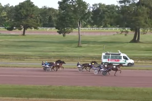 MALADETTA DE LOU (Excellent-Amarena de Lou)...