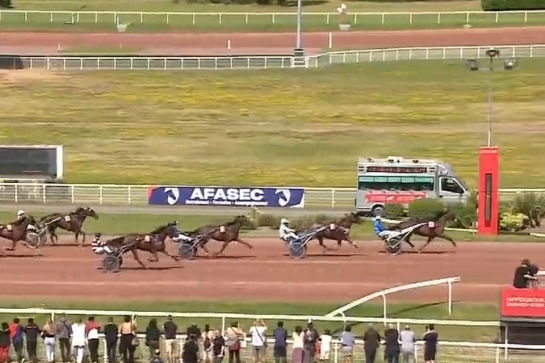 JUNON DE LOU (Real de lou-Saba du vivier)...