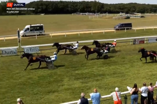 LOMBARDO DE LOU (Fabulous wood-Tanga de Lou)...