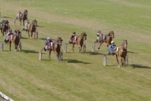 IMANOLO DE LOU (Booster winner-Star de tembia)..