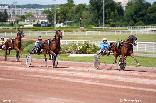 KOZIELLO DE LOU (Real de Lou- Delmonica de Lou)...