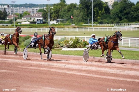 KOZIELLO DE LOU (Real de Lou- Delmonica de Lou)...