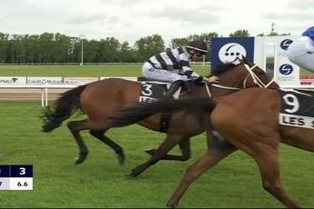 LOU MARINA ( Kapgarde- Lou emerald) ...