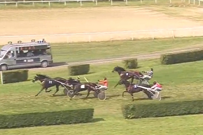 JUST GIGOLO DE LOU ( Un amour d'haufor-Sierra de Lou)...