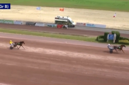 LA PERLA DE LOU (Goetmals wood-Donatella de Lou)...