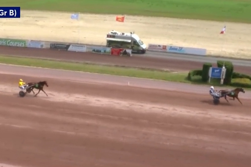 LA PERLA DE LOU (Goetmals wood-Donatella de Lou)...