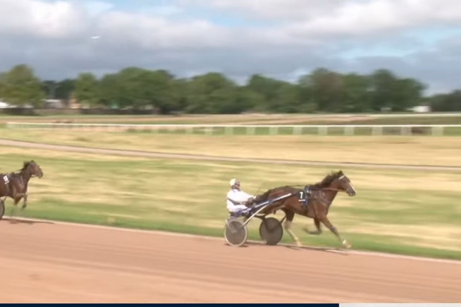 MAGICO DE LOU (Un mec d'heripré-Flora de Lou)...