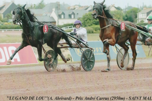 LUGANO DE LOU (Up and Quick- Kooka de Lou)...