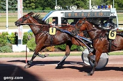 KOZIELLO DE LOU (Real de Lou- Delmonica de Lou)...