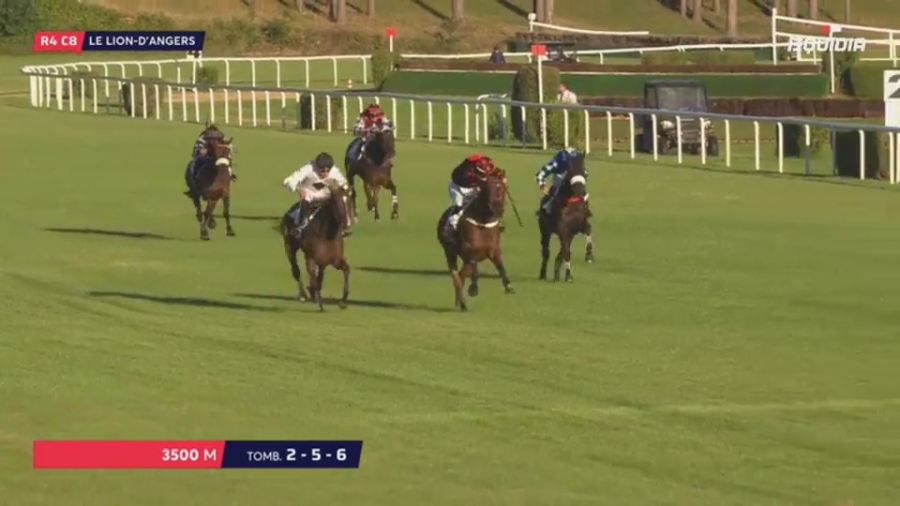 LOU ARGENTINA (Kapgarde-Lou Emerald)