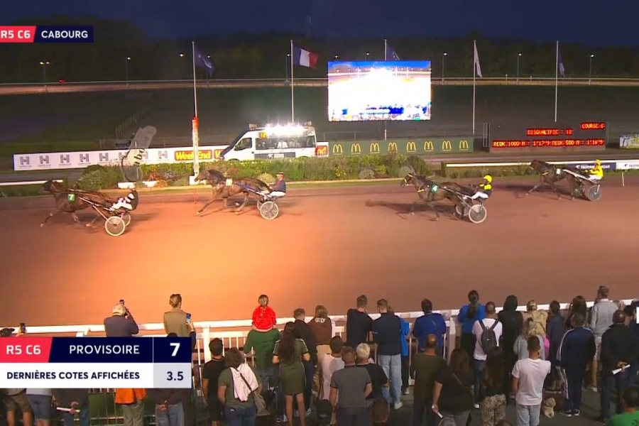 LA PERLA DE LOU (Goetmals wood-Donnatella de Lou)